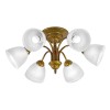 Люстра потолочная 6 плафонов S8010-6